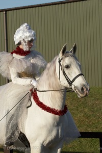 Collecting Ring Fancy Dress!